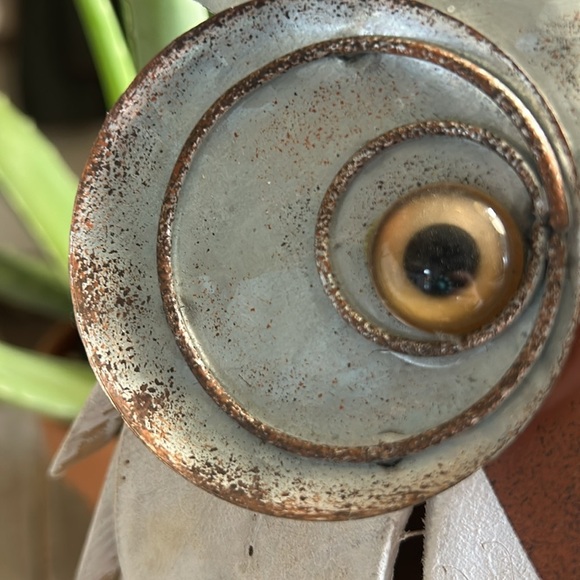 UNIQUE DRIFTWOOD GALVANIZED MEDAL, AMBER EYE  OWL, HOME DECOR - Picture 8 of 8